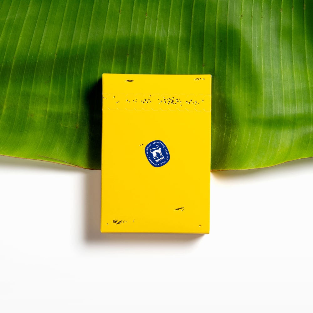 VORĀ The Greek Foundation