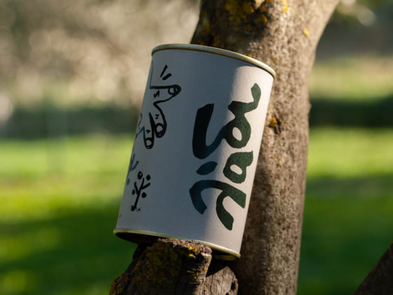 Slab Design Studio turns its own olive grove into a thoughtfully crafted “oil” project