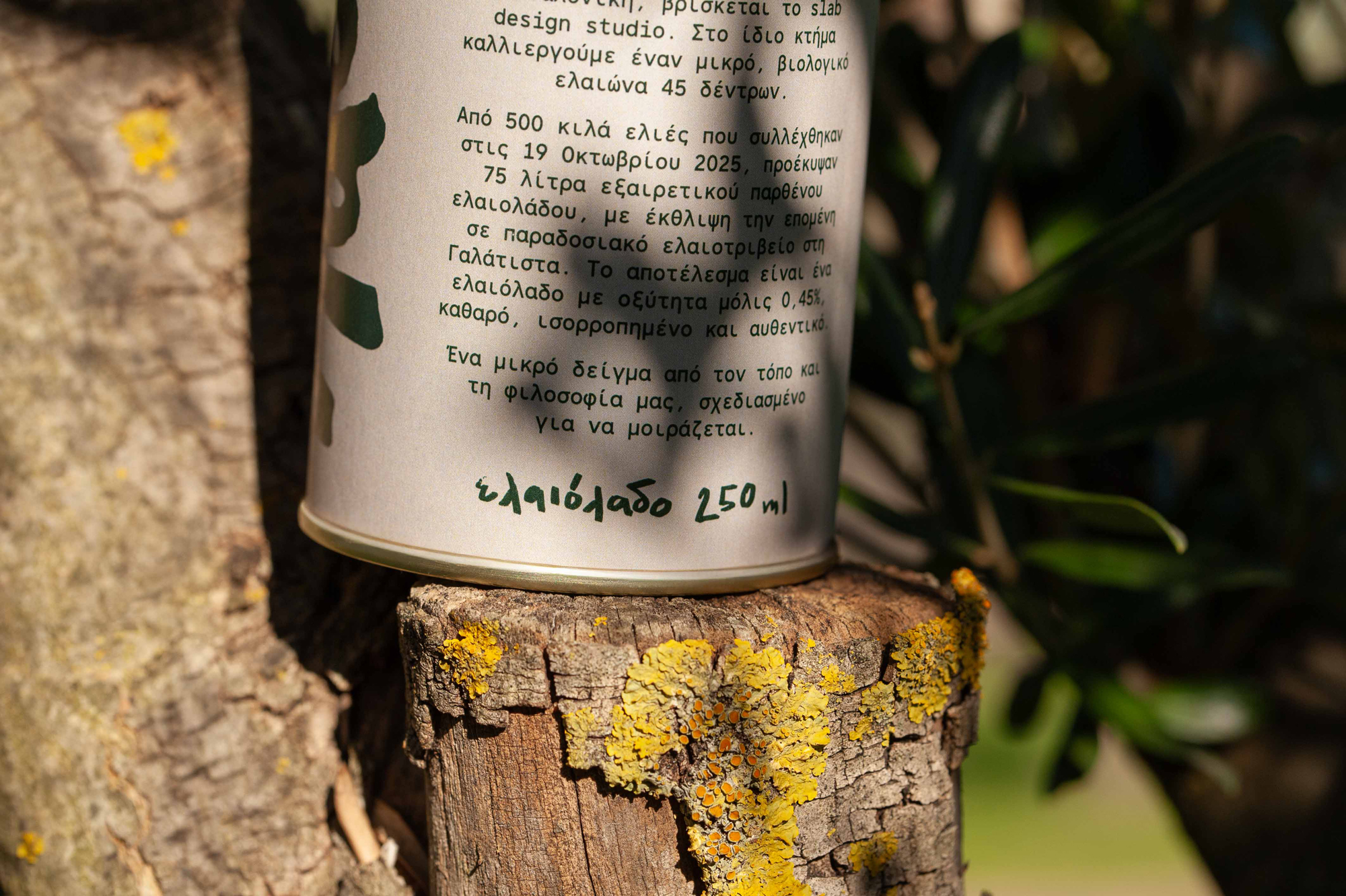 Close-up of Slab olive oil bottle highlighting simple label design