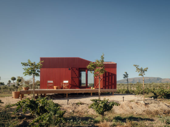 Exterior view of Root Cabin by Kasawoo set among vineyards and olive trees on Zakynthos
