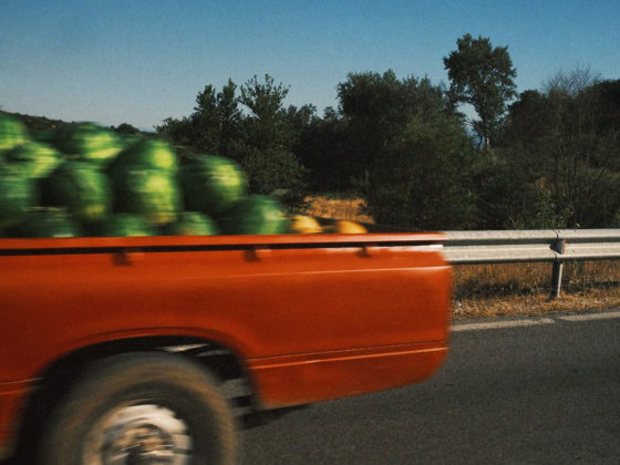 An August Day in the Greek Countryside