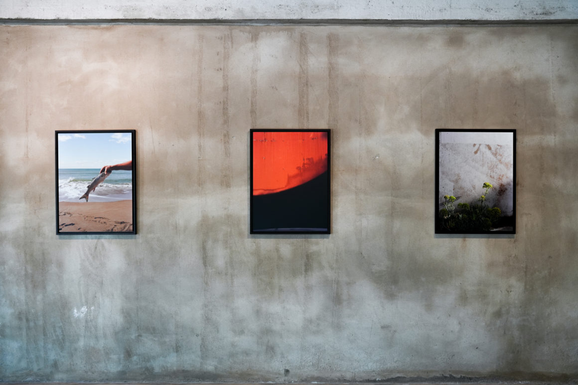 Yulia Koval Slow Coast exhibition at dexamenes